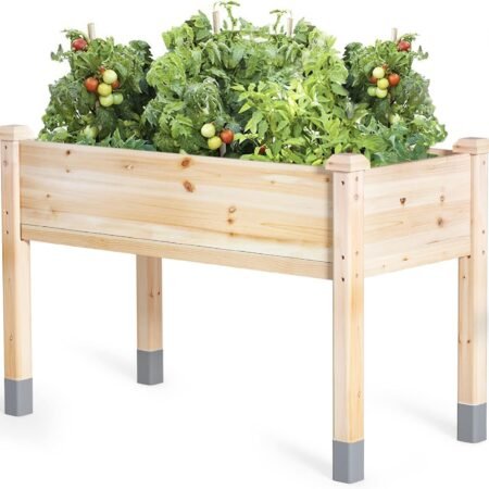Wooden Raised Garden Bed with Legs, 48”L X 24”W, Elevated Reinforced Large Planter Box for Vegetable Flower Herb Outdoors - Beam and Column Structure - Unmatched Strength