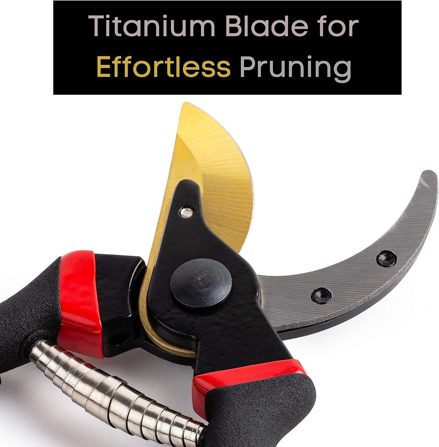 Pruning Shears, Garden Shears, 8" Professional, Titanium Blade, Garden Scissors, Gardening Shears, Garden Clippers, Bypass Pruners, Garden Shears Pruning, Pruning Scissors, Garden Tools - Image 2